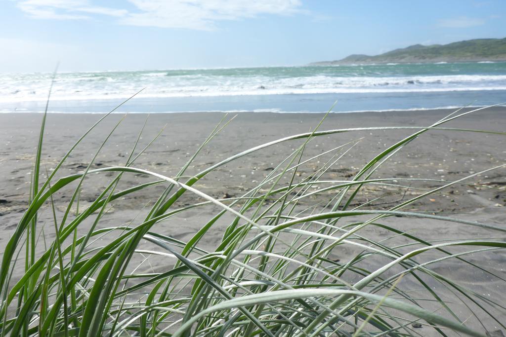 Ocean View Raglan Bed & Breakfast מראה חיצוני תמונה